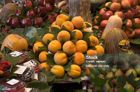 apricot barcelona|Apricots Barcelona